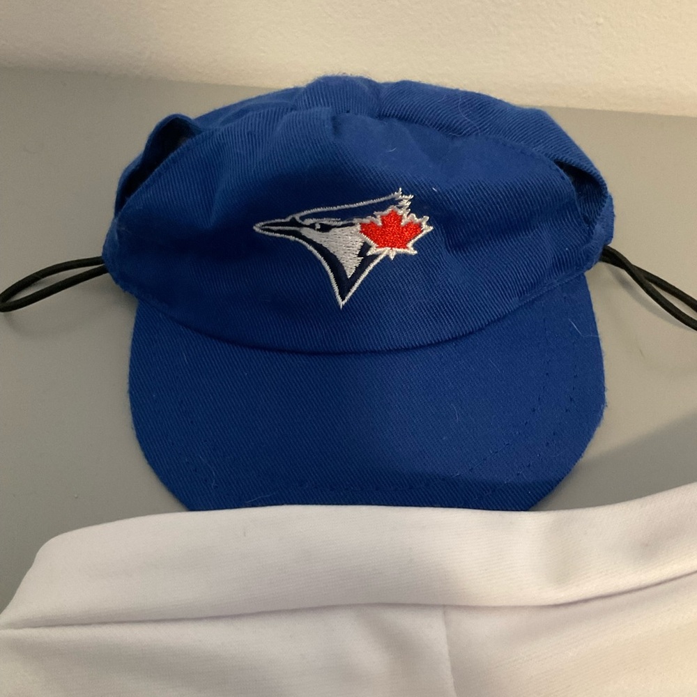 Toronto Blue Jays Build A Bear Baseball Kit - Picture 2 of 10